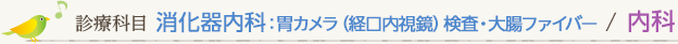 診療科目　消化器内科　胃カメラ（経口内視鏡）検査・大腸ファイバー　内科