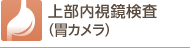 上部内視鏡検査
（胃カメラ）
