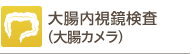 大腸内視鏡検査
（大腸カメラ）