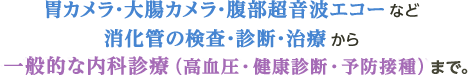 胃カメラ・大腸カメラ・腹部超音波エコーなど消化管の検査・診断・治療から一般的な内科診療（高血圧・健康診断・予防接種）まで